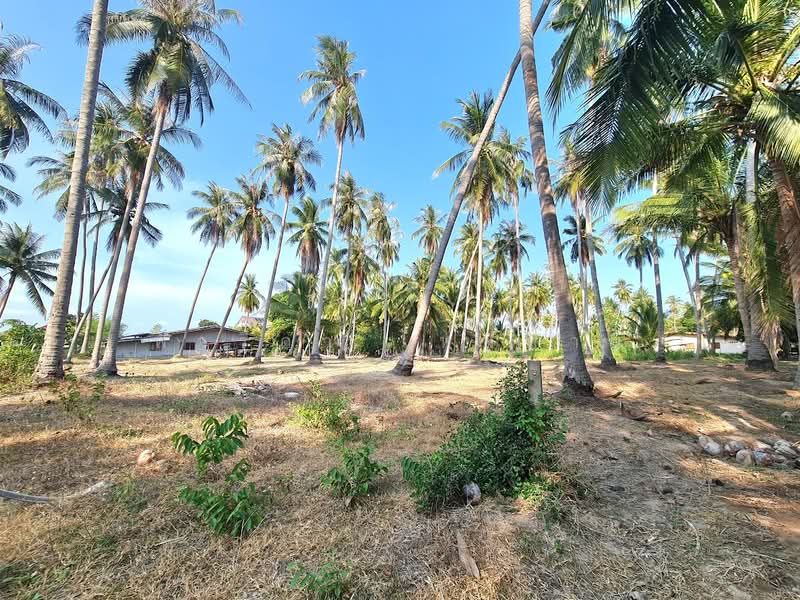Land for sale in Prachuap Khiri Khan, 3-0-23 rai (approximately 1.2 acres), near Khlong Wan Beach, Prachuap Khiri Khan, Khlong Wan, Muang Prachaubkirikhan, Prachuap Khiri Khan, , 4,892 sqm, Land For Sale, by Fareeda Thaipatan, 500305466 - DDproperty.com