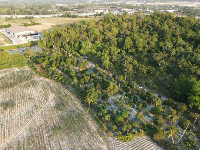 เขาไม้แก้ว, Chon Buri (Pattaya), Khao Mai Kaeo, Bang Lamung (Pattaya), Chon Buri (Pattaya), , 11,964 sqm, Land For Sale, by สุดารัตน์ ชื่นบาน, 500305584 - DDproperty.com