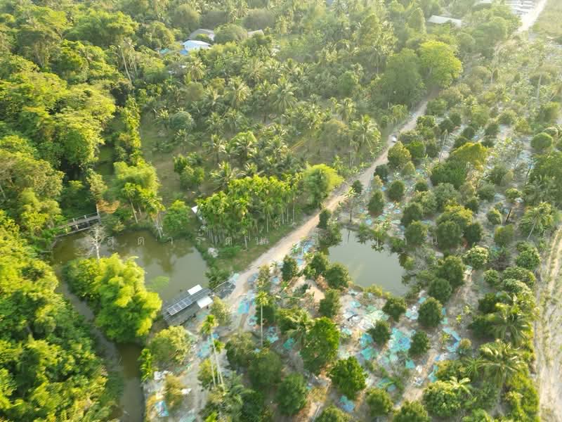 เขาไม้แก้ว, Chon Buri (Pattaya), Khao Mai Kaeo, Bang Lamung (Pattaya), Chon Buri (Pattaya), , 11,964 sqm, Land For Sale, by สุดารัตน์ ชื่นบาน, 500305584 - DDproperty.com