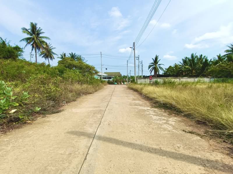 ที่ดินลาดใหญ่ สมุทรสงคราม, Samut Songkhram, Lat Yai, Muang Samut Songkhram, Samut Songkhram, , 624 sqm, Land For Sale, by The Best Property โอ๋, 500305769 - DDproperty.com