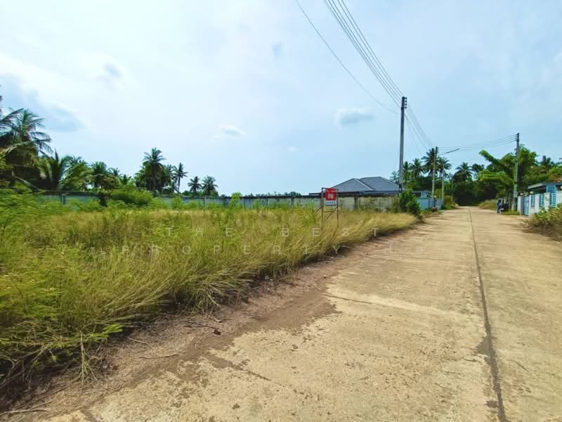 ที่ดินลาดใหญ่ สมุทรสงคราม, Samut Songkhram, Lat Yai, Muang Samut Songkhram, Samut Songkhram, , 624 sqm, Land For Sale, by The Best Property โอ๋, 500305769 - DDproperty.com