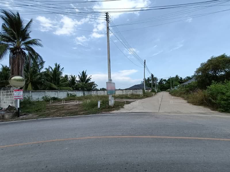 ที่ดินลาดใหญ่ สมุทรสงคราม, Samut Songkhram, Lat Yai, Muang Samut Songkhram, Samut Songkhram, , 624 sqm, Land For Sale, by The Best Property โอ๋, 500305769 - DDproperty.com