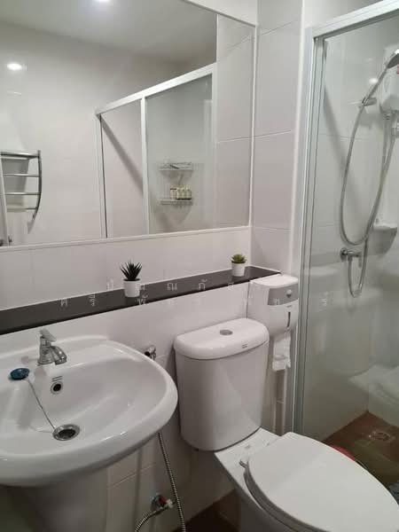 Regent Home Sukhumvit 97/1, Bangkok, Soi Sukhumvit 97/1, Bang Chak, Phra Khanong, Bangkok, 1 Bedroom, 30 sqm, Condo For Rent, by ปัณณภัสร์​ ศรี​พัชร​พัช​ร์, 500305779 - DDproperty.com
