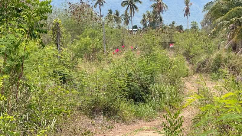 ที่ดินทับสะแก ประจวบคีรีขันธ์, Prachuap Khiri Khan, Huai Yang, Thap Sakae, Prachuap Khiri Khan, , 17,080 sqm, Land For Sale, by The Best Property ณรงค์, 500305929 - DDproperty.com
