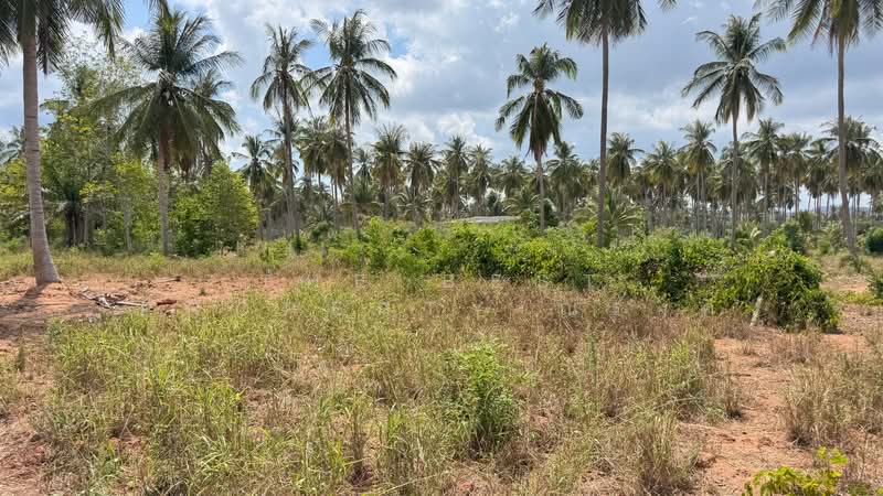 ที่ดินทับสะแก ประจวบคีรีขันธ์, Prachuap Khiri Khan, Huai Yang, Thap Sakae, Prachuap Khiri Khan, , 8,000 sqm, Land For Sale, by The Best Property ณรงค์, 500305996 - DDproperty.com
