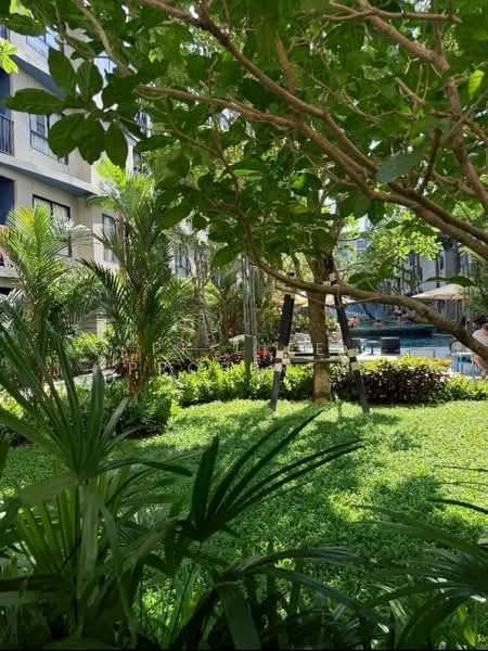 DCondo Reef, Phuket, 78 Soi Dara, Kathu, Phuket, 2 Bedrooms, 54 sqm, Condo For Rent, by PK LIFE Property, 500306028 - DDproperty.com