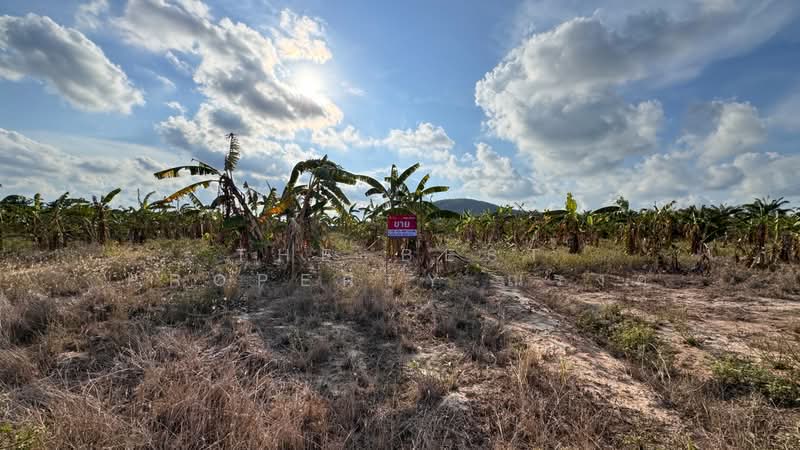 ที่ดินบ่อนอก ประจวบคีรีขันธ์, Prachuap Khiri Khan, Bo Nok, Muang Prachaubkirikhan, Prachuap Khiri Khan, , 7,796 sqm, Land For Sale, by The Best Property ณรงค์, 500306038 - DDproperty.com