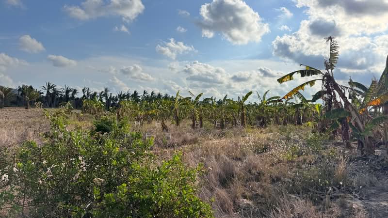 ที่ดินบ่อนอก ประจวบคีรีขันธ์, Prachuap Khiri Khan, Bo Nok, Muang Prachaubkirikhan, Prachuap Khiri Khan, , 7,796 sqm, Land For Sale, by The Best Property ณรงค์, 500306038 - DDproperty.com
