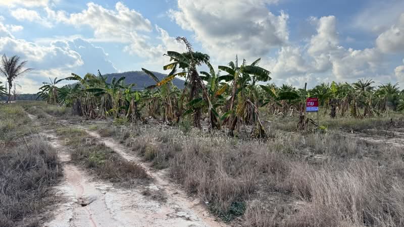 ที่ดินบ่อนอก ประจวบคีรีขันธ์, Prachuap Khiri Khan, Bo Nok, Muang Prachaubkirikhan, Prachuap Khiri Khan, , 7,796 sqm, Land For Sale, by The Best Property ณรงค์, 500306038 - DDproperty.com