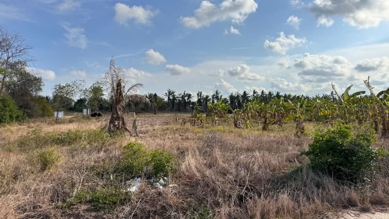 ที่ดินบ่อนอก ประจวบคีรีขันธ์, Prachuap Khiri Khan, Bo Nok, Muang Prachaubkirikhan, Prachuap Khiri Khan, , 7,796 sqm, Land For Sale, by The Best Property ณรงค์, 500306038 - DDproperty.com