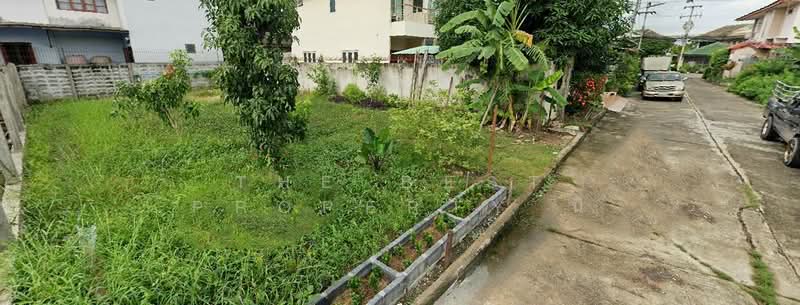พฤกษา2 รังสิต-คลอง8, Pathum Thani, Lam Phak Kut, Thanyaburi, Pathum Thani, , 240 sqm, Land For Sale, by The Best Property นิ, 500306255 - DDproperty.com