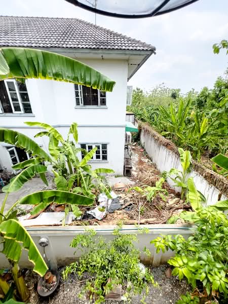 Baan Pradab Dao 1-4, Nonthaburi, ท่าอิฐ , ปากเกร็ด , นนทบุรี, Tha It, Pak Kret, Nonthaburi, 4 Bedrooms, 200 sqm, Single Detached House For Sale, by Haus Living Estate, 500306437 - DDproperty.com