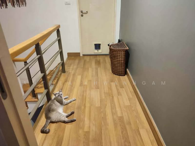Lumpini Town Residence Ladprao Station, Bangkok, Jom Phon, Chatuchak, Bangkok, 4 Bedrooms, 200 sqm, Townhouse For Sale, by Anthea Khwanngam, 500306472 - DDproperty.com