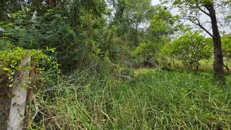 Land for sale in town of Bangkla Chachengsao 4-0-21rai, Chachoengsao, เทศบาลพัฒนา2, Bang Khla, Chachoengsao, , 6,484 sqm, Land For Sale, by ดวงจงกล ชุ่มสวัสดิ์, 500306606 - DDproperty.com