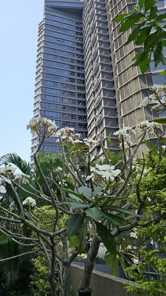 My Resort Bangkok : มาย รีสอร์ต แบงค์คอก, กรุงเทพ, 1724 ถนนเพชรบุรีตัดใหม่ แขวงบางกะปิ เขตห้วยขวาง กรุงเทพมหานคร, บางกะปิ, ห้วยขวาง, กรุงเทพ, 70 ตร.ม., คอนโด ขาย, โดย Bongkoch Rattanavichai, 500306627 - DDproperty.com