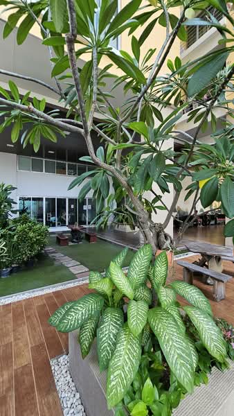 My Resort Bangkok, Bangkok, 1724 Petchaburi Road, Bang Kapi, Huai Khwang, Bangkok, 2 Bedrooms, 70 sqm, Condo For Sale, by Bongkoch Rattanavichai, 500306627 - DDproperty.com