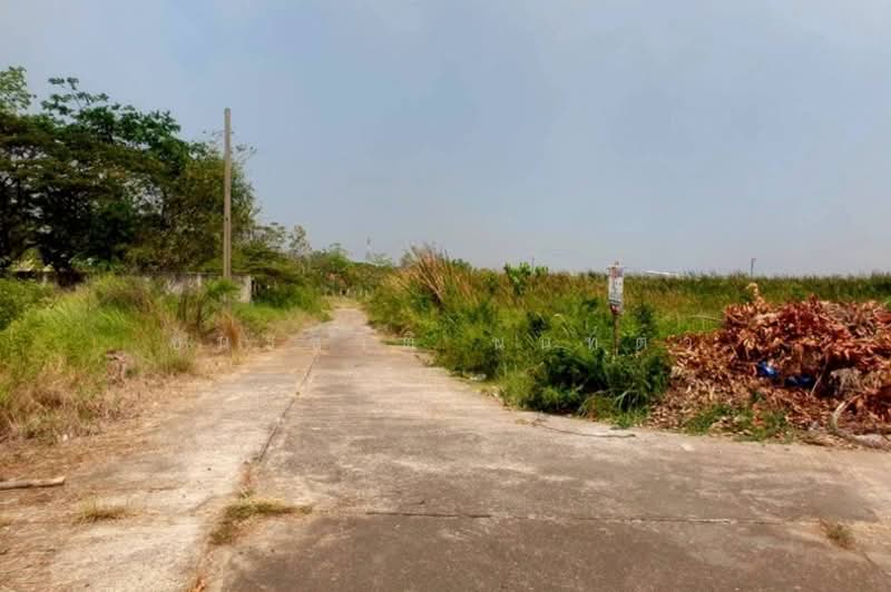 ฉลองกรุงการ์เด้น, กรุงเทพ, ลำผักชี, หนองจอก, กรุงเทพ, 1,920 ตร.ม., ที่ดิน ขาย, โดย ชนะชาติ นนท์ตา, 500306666 - DDproperty.com