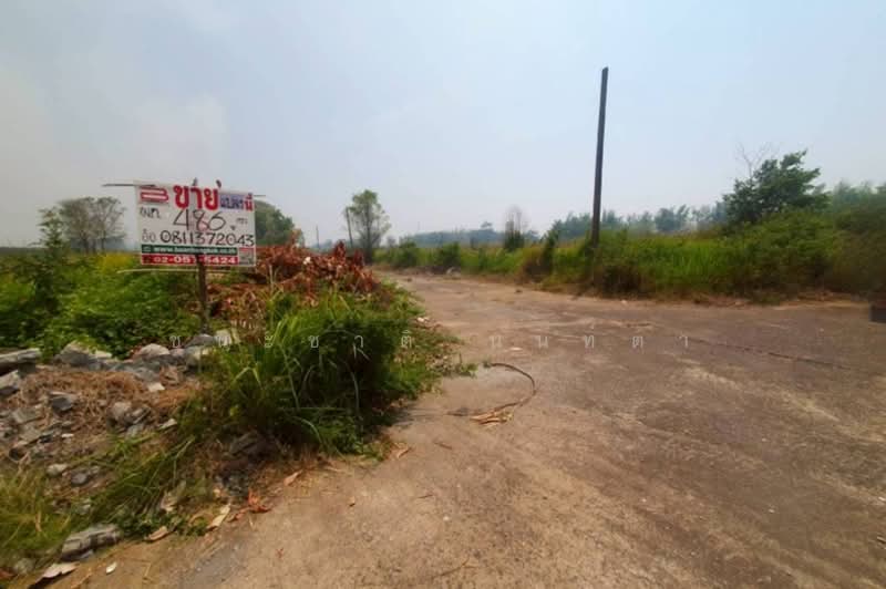 ฉลองกรุงการ์เด้น, กรุงเทพ, ลำผักชี, หนองจอก, กรุงเทพ, 1,920 ตร.ม., ที่ดิน ขาย, โดย ชนะชาติ นนท์ตา, 500306666 - DDproperty.com