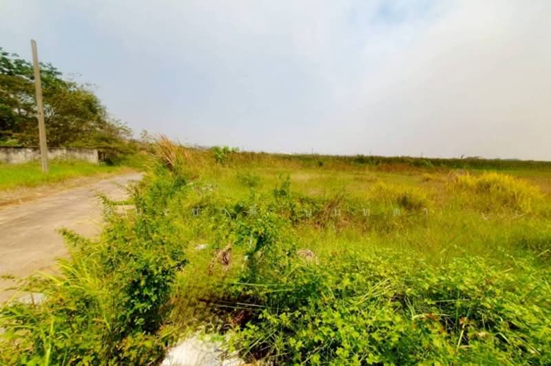 ฉลองกรุงการ์เด้น, Bangkok, Lam Phak Chi, Nong Chok, Bangkok, , 1,920 sqm, Land For Sale, by ชนะชาติ นนท์ตา, 500306666 - DDproperty.com