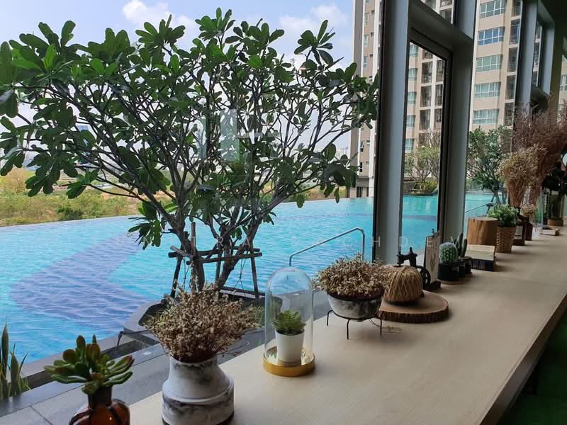Supalai Veranda Rama 9, Bangkok, 349 Rama 9, Bang Kapi, Huai Khwang, Bangkok, 1 Bedroom, 30 sqm, Condo For Rent, by Sunitra Sachdev, 500306926 - DDproperty.com
