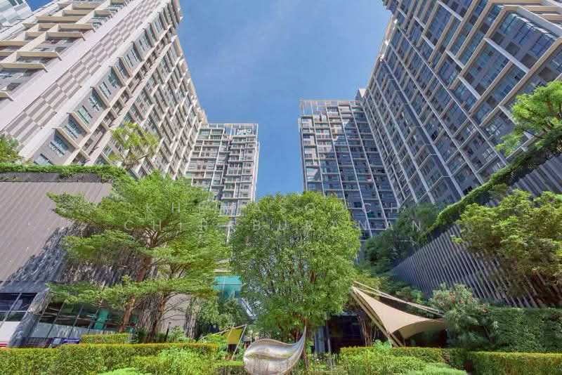 IDEO MOBI Sukhumvit 81 : ไอดีโอ โมบิ สุขุมวิท 81, กรุงเทพ, 2097 ถนนสุขุมวิท แขวงบางจาก เขตพระโขนง กรุงเทพมหานคร, บางจาก, พระโขนง, กรุงเทพ, 42 ตร.ม., คอนโด ให้เช่า, โดย Khemasooch Chiraburanan, 500306963 - DDproperty.com