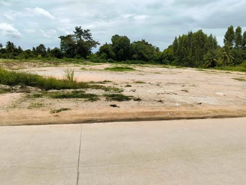 Land for sale, already filled, in Takian Tia – 11 rai, canal-side location, Chon Buri (Pattaya), Ta Khian Tia, Bang Lamung (Pattaya), Chon Buri (Pattaya), , 17,744 sqm, Land For Sale, by RICHWELL INTERPLUS, 500306970 - DDproperty.com