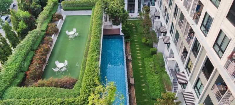 Kensington Kaset-Campus, Bangkok, Soi Phahon Yothin 49/1, Lat Yao, Chatuchak, Bangkok, 2 Bedrooms, 41 sqm, Condo For Rent, by Nop Satjavitvisarn, 500307057 - DDproperty.com