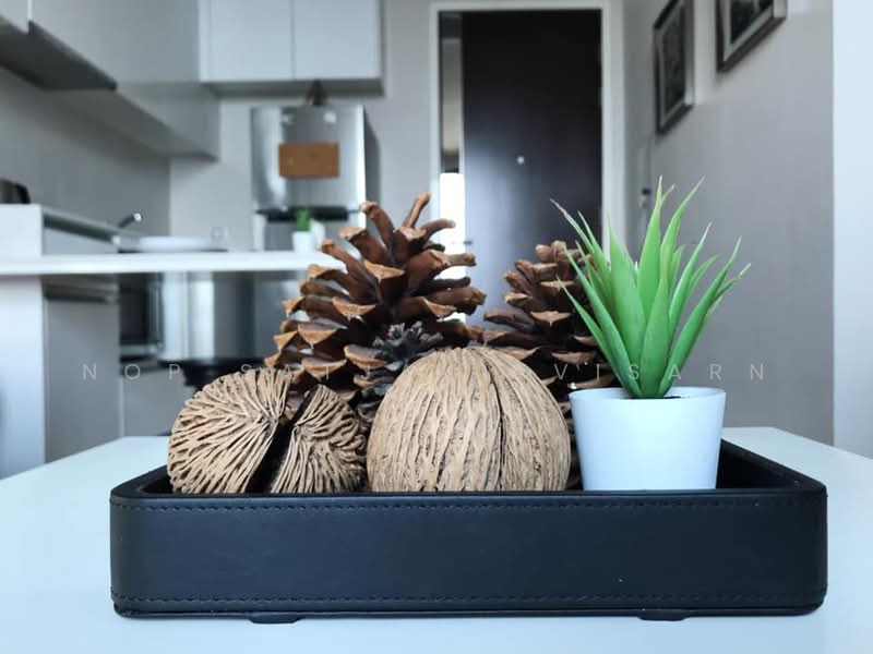 Equinox Phahol Vibha, Bangkok, 345 Paholyothin Road, Jom Phon, Chatuchak, Bangkok, 1 Bedroom, 41 sqm, Condo For Rent, by Nop Satjavitvisarn, 500307135 - DDproperty.com