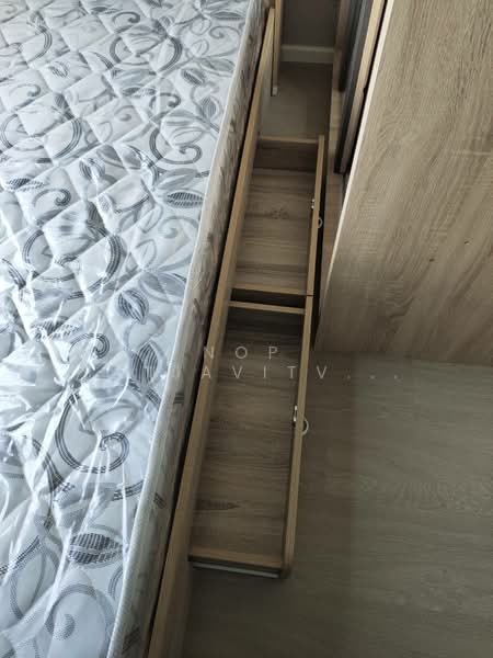 CIELA Sripatum, Bangkok, 2999 Phahonyothin Road, Lat Yao, Chatuchak, Bangkok, 2 Bedrooms, 34 sqm, Condo For Rent, by Nop Satjavitvisarn, 500307211 - DDproperty.com