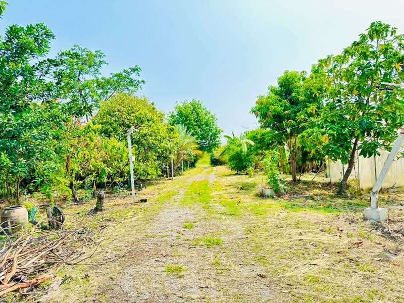 ที่ดินพระพุทธบาท สระบุรี, สระบุรี, พุคำจาน, พระพุทธบาท, สระบุรี, 11,352 ตร.ม., ที่ดิน ขาย, โดย The Best Property เฟรม, 500307494 - DDproperty.com