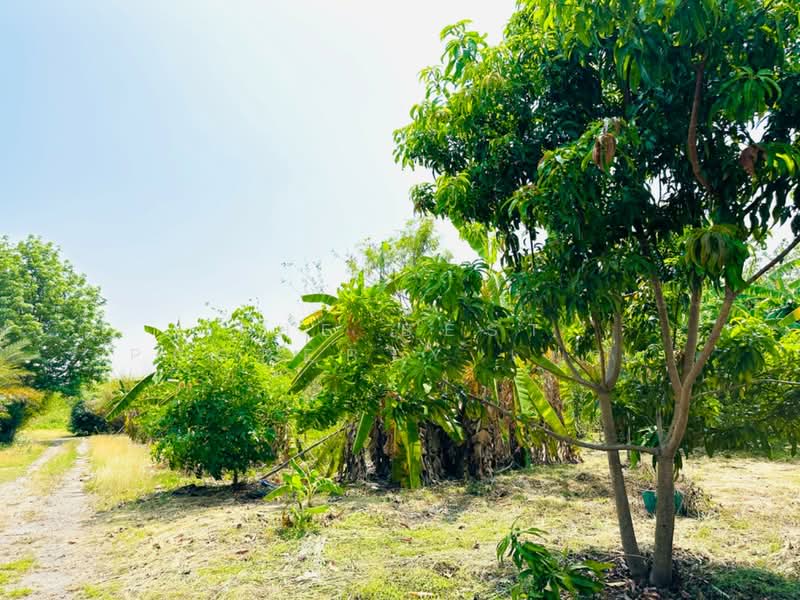 ที่ดินพระพุทธบาท สระบุรี, สระบุรี, พุคำจาน, พระพุทธบาท, สระบุรี, 11,352 ตร.ม., ที่ดิน ขาย, โดย The Best Property เฟรม, 500307494 - DDproperty.com