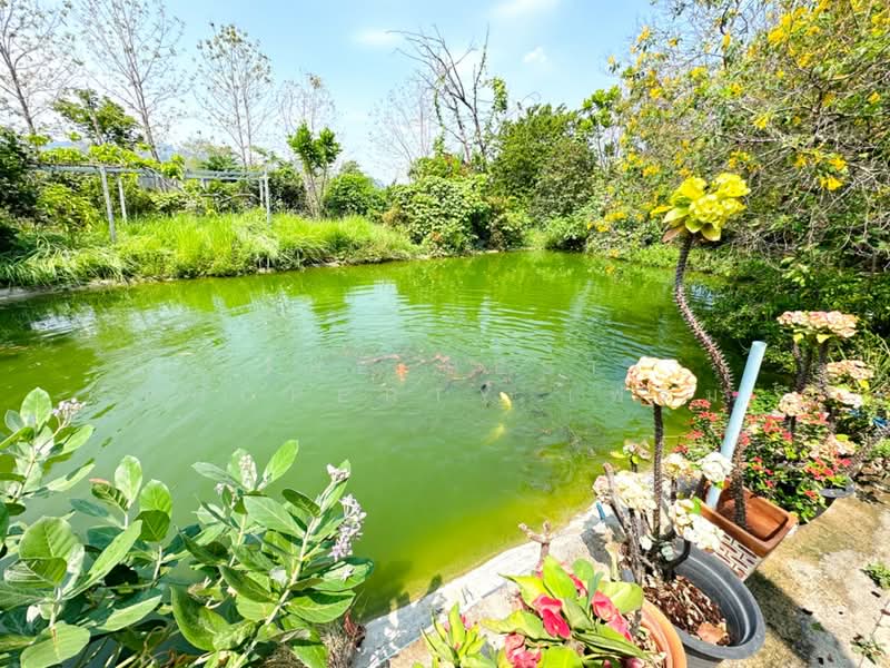 ที่ดินพระพุทธบาท สระบุรี, Saraburi, Phu Kham Chan, Phra Phutthabat, Saraburi, , 11,352 sqm, Land For Sale, by The Best Property เฟรม, 500307494 - DDproperty.com