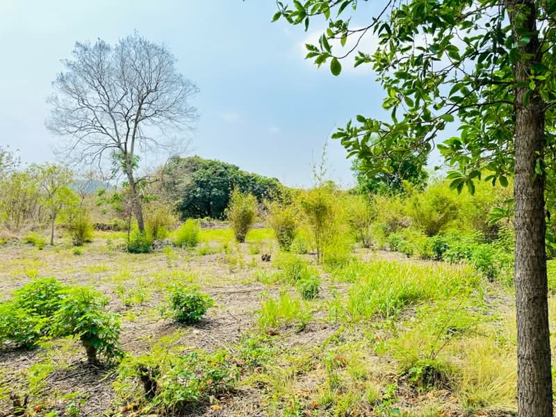 ที่ดินพระพุทธบาท สระบุรี, Saraburi, Phu Kham Chan, Phra Phutthabat, Saraburi, , 11,352 sqm, Land For Sale, by The Best Property เฟรม, 500307494 - DDproperty.com