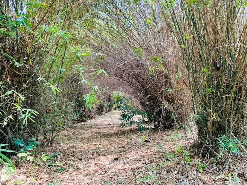 ที่ดินพระพุทธบาท สระบุรี, Saraburi, Phu Kham Chan, Phra Phutthabat, Saraburi, , 11,352 sqm, Land For Sale, by The Best Property เฟรม, 500307494 - DDproperty.com