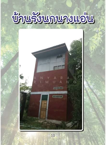 Land For U, ชุมพร, ปากคลอง, ปะทิว, ชุมพร, 24,076 ตร.ม., ที่ดิน ขาย, โดย Tanyaras Srimuang, 500307545 - DDproperty.com