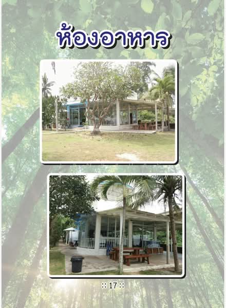 Land For U, Chumphon, Pak Khlong, Pathiu, Chumphon, , 24,076 sqm, Land For Sale, by Tanyaras Srimuang, 500307545 - DDproperty.com
