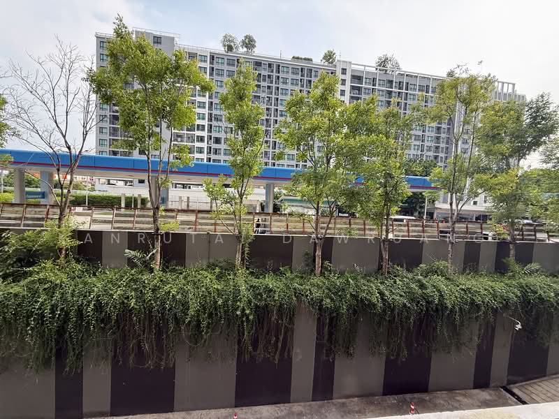 The Base Saphanmai : เดอะ เบส สะพานใหม่, กรุงเทพ, ถนนพหลโยธิน, อนุสาวรีย์, บางเขน, กรุงเทพ, 28 ตร.ม., คอนโด ขาย, โดย Kanrutai Dawruang, 500307694 - DDproperty.com