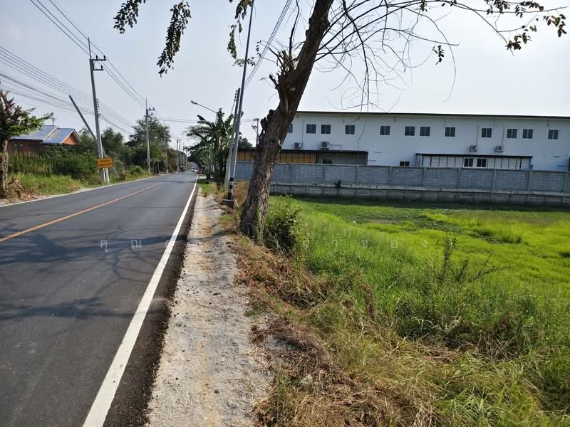 ขายที่ดินยกแปลง 2 ไร่กว่า ติดถนนใหญ่ เดินทางสะดวก อ.เสนา อยุธยา เพียง 3.2 ล้าน, พระนครศรีอยุธยา, บางนมโค, เสนา, พระนครศรีอยุธยา, 3,368 ตร.ม., ที่ดิน ขาย, โดย คุณดา (เจ้าของ), 500307717 - DDproperty.com