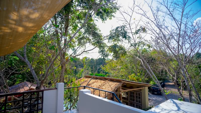 SUPALUX HOMESTAY, Rayong, Klaeng, Muang Rayong, Rayong, , 500 sqm, Business For Sale, by อรัญญา ระยาย้อย, 500307723 - DDproperty.com