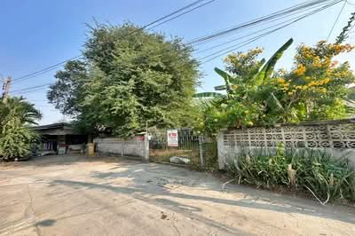 ขาย - พหลโยธิน 54 ร่วมใจสามัคคี 3, กรุงเทพ