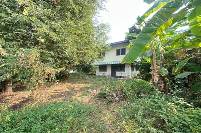 พหลโยธิน 54 ร่วมใจสามัคคี 3, Bangkok, ถนนพหลโยธิน, Khlong Tanon, Sai Mai, Bangkok, , 684 sqm, Land For Sale, by คุณเปิ้ล, 500307770 - DDproperty.com