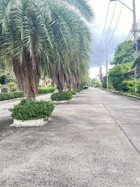 บ้าน 2-ห้องนอน, ชลบุรี, หนองปรือ, บางละมุง, ชลบุรี, 304 ตร.ม., บ้านเดี่ยว ขาย, โดย Patchara Srisak, 500307806 - DDproperty.com