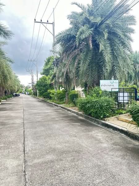 2-BR House, Chon Buri (Pattaya), Nong Pru, Bang Lamung (Pattaya), Chon Buri (Pattaya), 2 Bedrooms, 304 sqm, Single Detached House For Sale, by Patchara Srisak, 500307806 - DDproperty.com