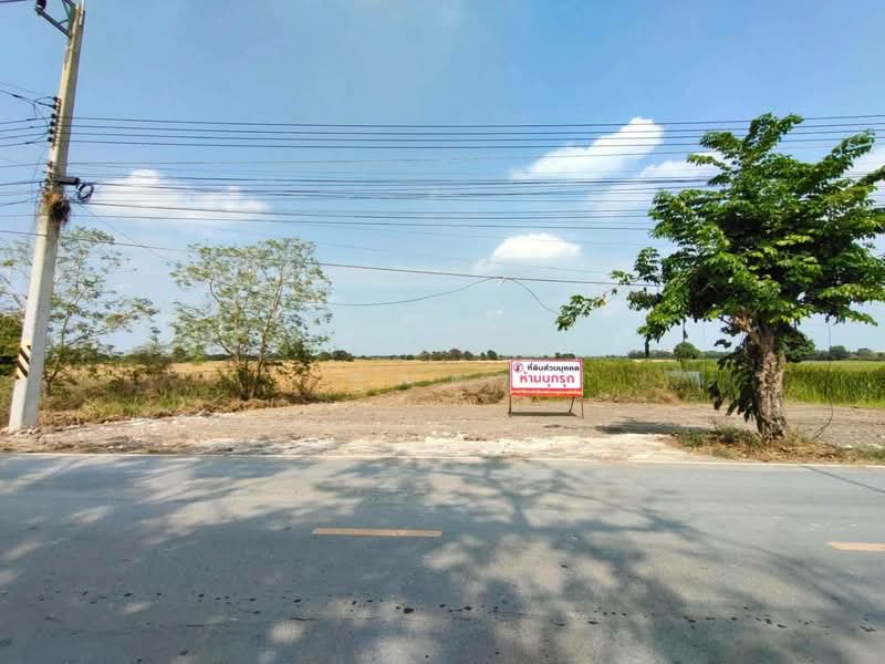 ขายที่ดินยกแปลง 7 ไร่กว่า ติดถนนใหญ่ อ.เสนา อยุธยา เดินทางสะดวก เพียง 8.5 ล้าน, พระนครศรีอยุธยา, บางนมโค, เสนา, พระนครศรีอยุธยา, 12,312 ตร.ม., ที่ดิน ขาย, โดย คุณดา, 500307945 - DDproperty.com