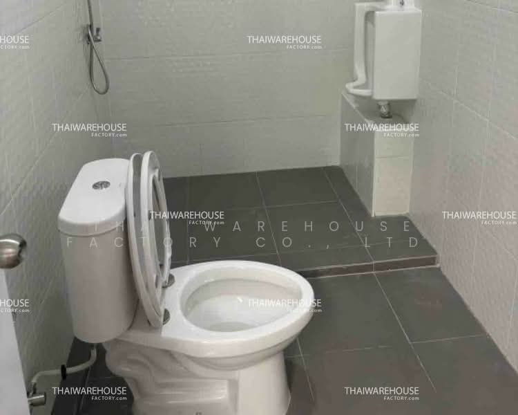 ขายและให้เช่าโกดังโรงงาน 300 ตร.ม. เมืองปทุมธานี รถเทรลเลอร์เข้าได้ อาคารเดี่ยว, ปทุมธานี, บ้านใหม่, เมืองปทุมธานี, ปทุมธานี, 300 ตร.ม., โกดัง-โรงงาน ให้เช่า, โดย THAI WAREHOUSE FACTORY CO., LTD., 500307997 - DDproperty.com