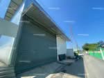 ขายและให้เช่าโกดังโรงงาน 300 ตร.ม. เมืองปทุมธานี รถเทรลเลอร์เข้าได้ อาคารเดี่ยว, ปทุมธานี