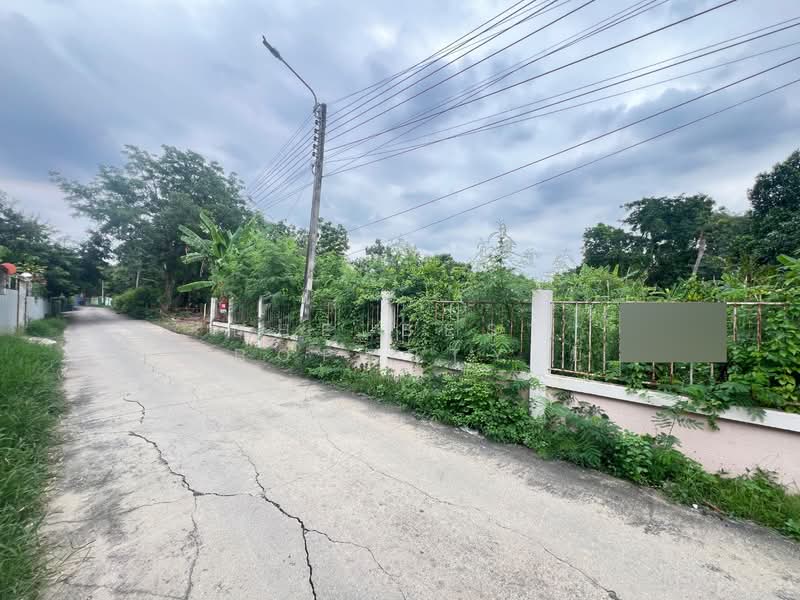 ที่ดินบางกร่าง นนทบุรี, Nonthaburi, Bang Krang, Muang Nonthaburi, Nonthaburi, , 2,144 sqm, Land For Sale, by The Best Property บี, 500308133 - DDproperty.com