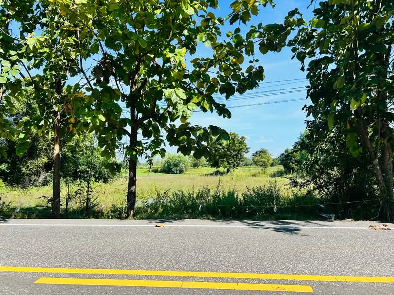 ที่ดินทัพทัน อุทัยธานี, Uthai Thani, Nong Yai Da, Thap Than, Uthai Thani, , 40,524 sqm, Land For Sale, by The Best Property กุ้ง, 500308137 - DDproperty.com