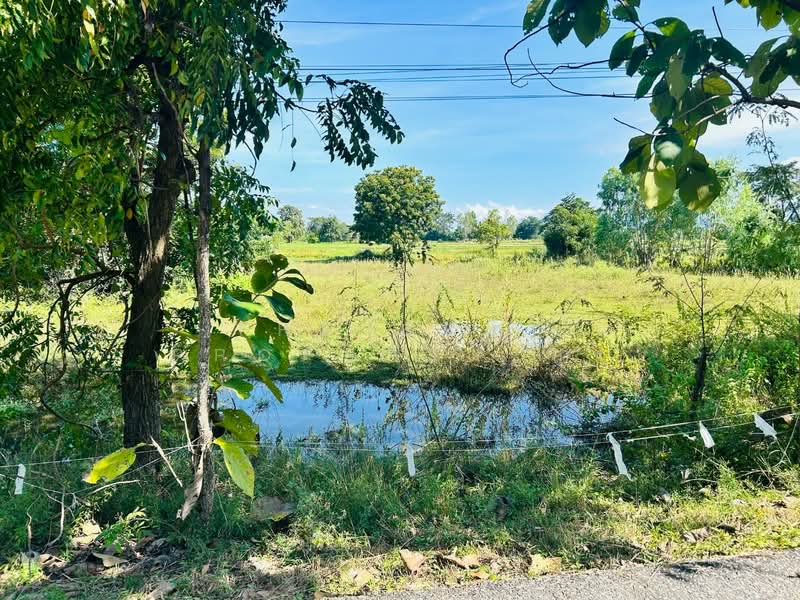 ที่ดินทัพทัน อุทัยธานี, Uthai Thani, Nong Yai Da, Thap Than, Uthai Thani, , 40,524 sqm, Land For Sale, by The Best Property กุ้ง, 500308137 - DDproperty.com