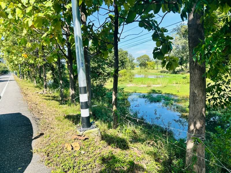 ที่ดินทัพทัน อุทัยธานี, Uthai Thani, Nong Yai Da, Thap Than, Uthai Thani, , 40,524 sqm, Land For Sale, by The Best Property กุ้ง, 500308137 - DDproperty.com